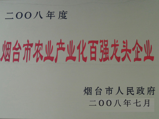 百强龙头企业
