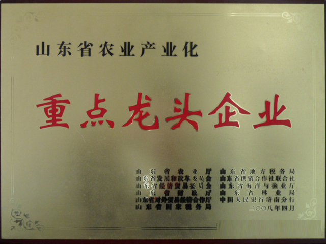 重点龙头企业