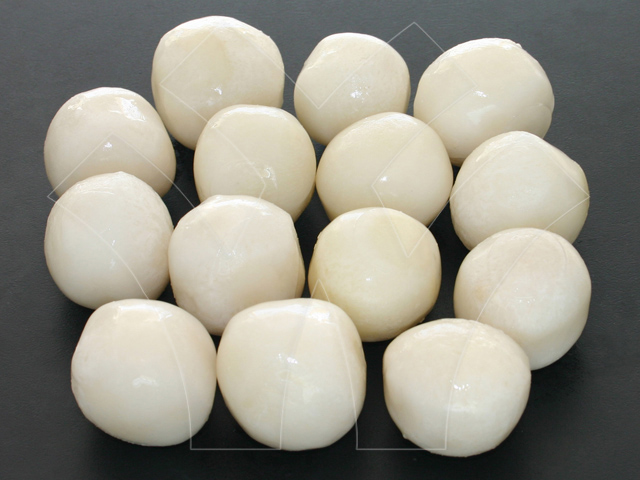 Taro