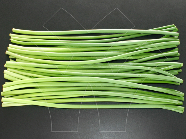Garlic sprout