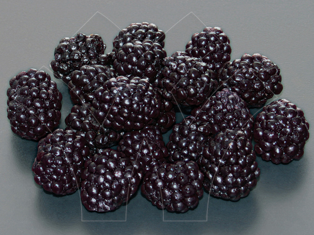 Blackberry